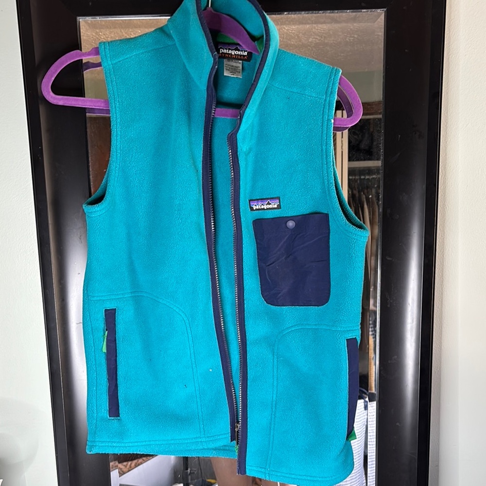 Patagonia men’s ' Blue Fleece Vest
